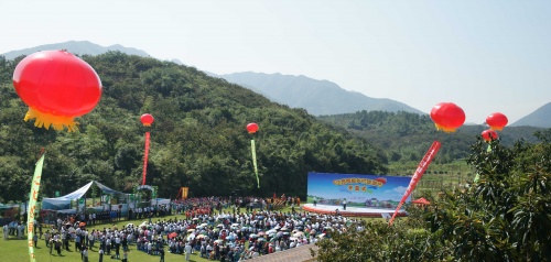 点击可以查看大图